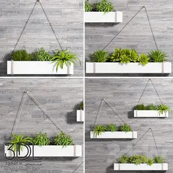 آبجکت گیاه Plant 733