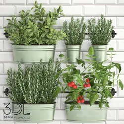 آبجکت گیاه Plant 725