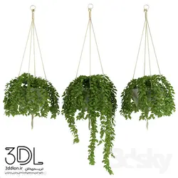 آبجکت گیاه Plant 722