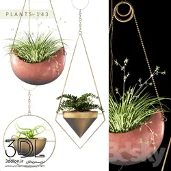 آبجکت گیاه Plant 720