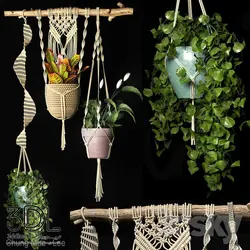 آبجکت گیاه Plant 719