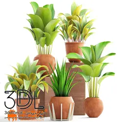 آبجکت گیاه plant 715