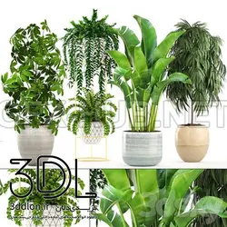 آبجکت گیاه plant 712