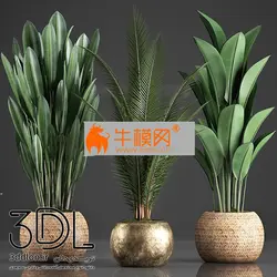 آبجکت گیاه plant 711