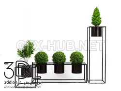 آبجکت گیاه plant 710