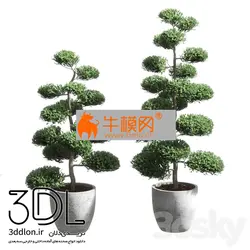 آبجکت گیاه plant 708