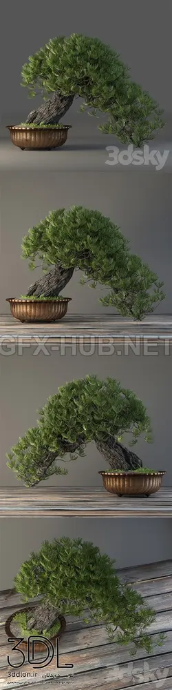 آبجکت گیاه plant 707