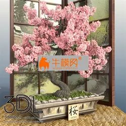 آبجکت گیاه plant 706