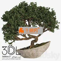 آبجکت گیاه plant 705