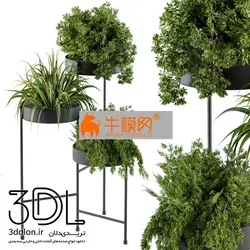 آبجکت گیاه plant 703