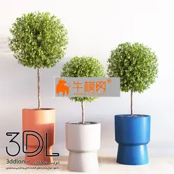 آبجکت گیاه plant 702