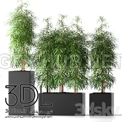 آبجکت گیاه plant 700