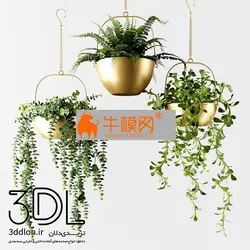 آبجکت گیاه plant 699