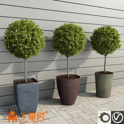 آبجکت گیاه plant 698