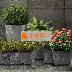 آبجکت گیاه plant 696