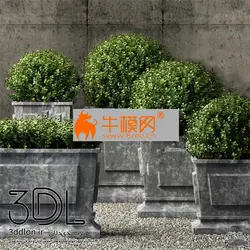 آبجکت گیاه plant 695