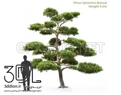 آبجکت گیاه plant 693