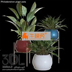 آبجکت گیاه plant 692