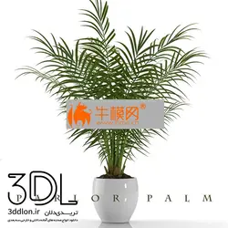 آبجکت گیاه plant 691
