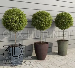 آبجکت گیاه plant 688