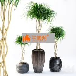 آبجکت گیاه plant 686