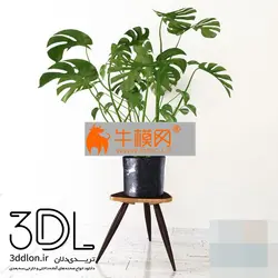 آبجکت گیاه plant 684