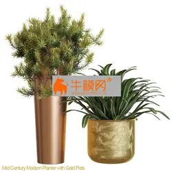 آبجکت گیاه plant 683