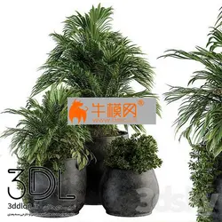 آبجکت گیاه plant 680