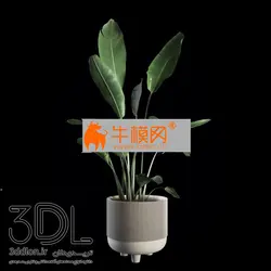 آبجکت گیاه plant 679