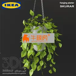 آبجکت گیاه plant 678