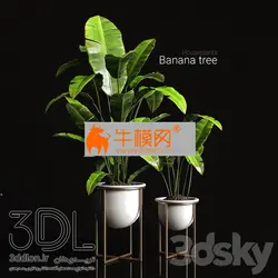 آبجکت گیاه plant 676