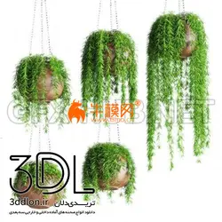 آبجکت گیاه plant 675