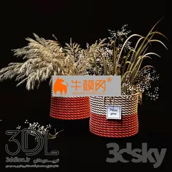 آبجکت گیاه plant 672