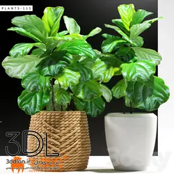 آبجکت گیاه plant 671