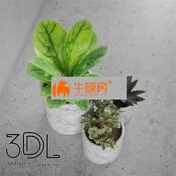 آبجکت گیاه plant 665