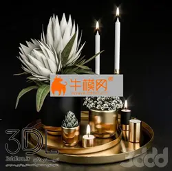 آبجکت گیاه plant 664