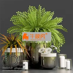 آبجکت گیاه plant 662