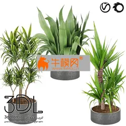 آبجکت گیاه plant 659