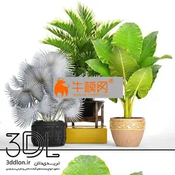 آبجکت گیاه plant 658