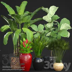 آبجکت گیاه plant 657
