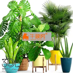 آبجکت گیاه plant 656