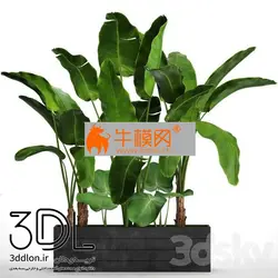 آبجکت گیاه plant 654