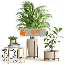 آبجکت گیاه plant 650