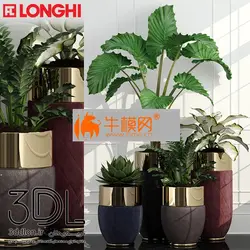 آبجکت گیاه plant 649