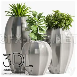 آبجکت گیاه plant 648