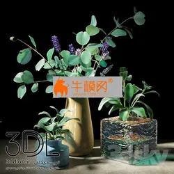 آبجکت گیاه plant 646