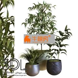 آبجکت گیاه plant 643