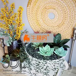 آبجکت گیاه plant 640