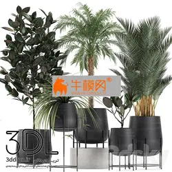 آبجکت گیاه plant 638