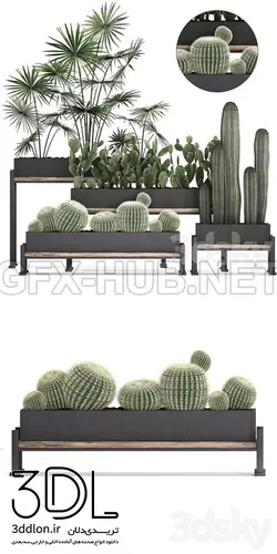 آبجکت گیاه plant 637